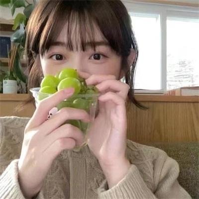 男孩与骏马